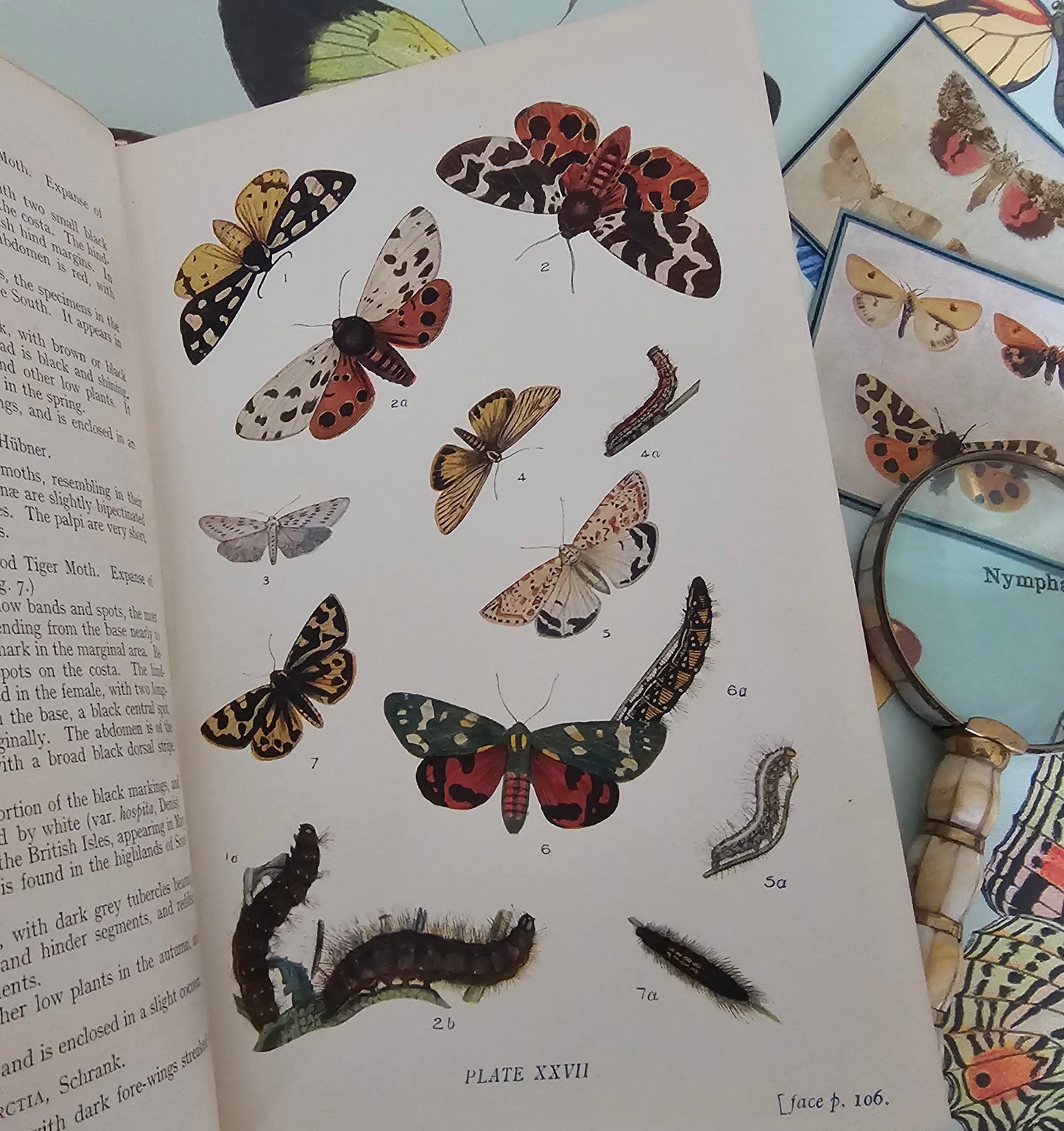 1909 Butterflies and Moths of the United Kingdom by Egmont Kirby / 69 Detailed Colour Plates / Lovely Decorative Boards / Lacks One Plate