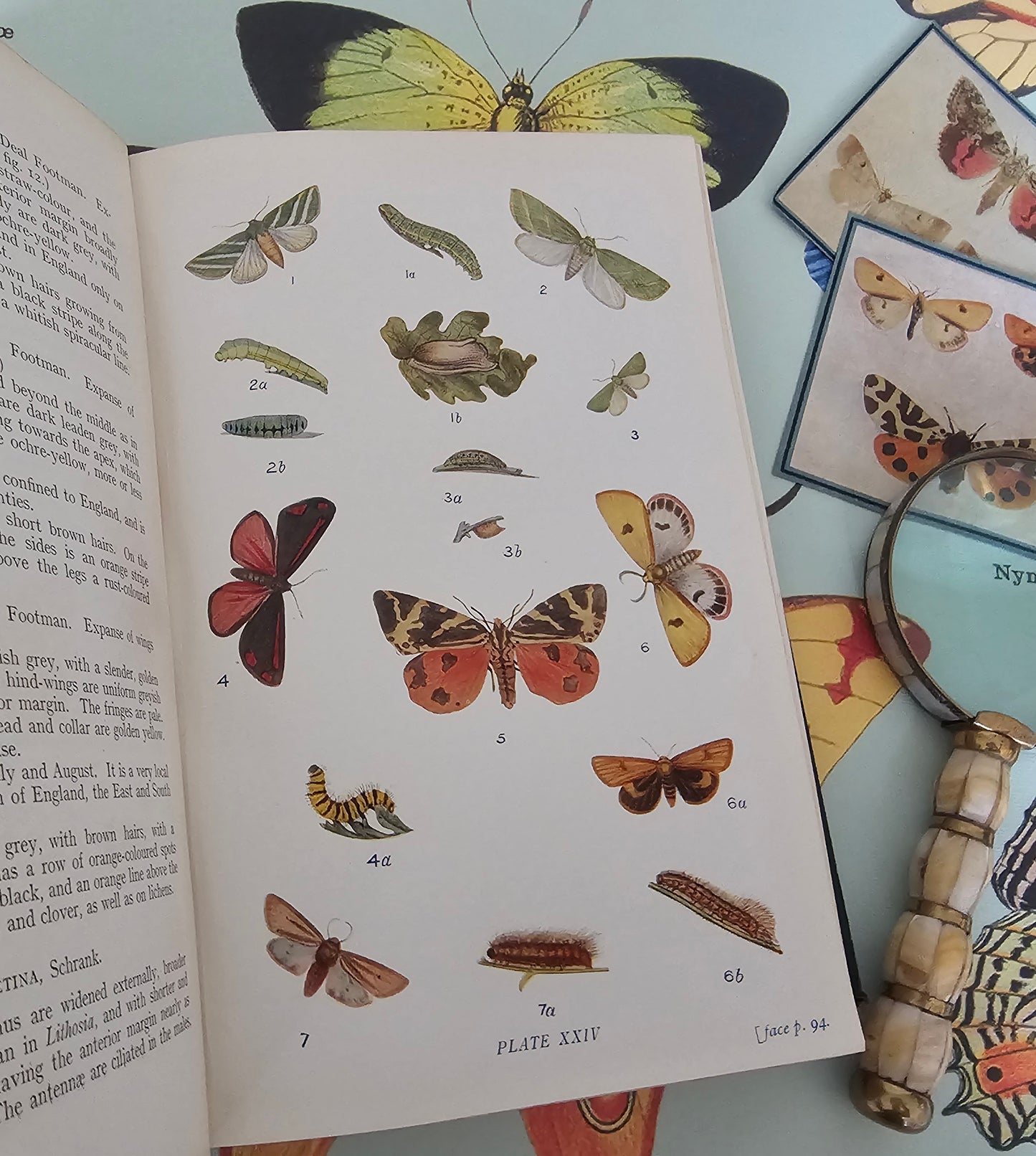 1909 Butterflies and Moths of the United Kingdom by Egmont Kirby / 69 Detailed Colour Plates / Lovely Decorative Boards / Lacks One Plate