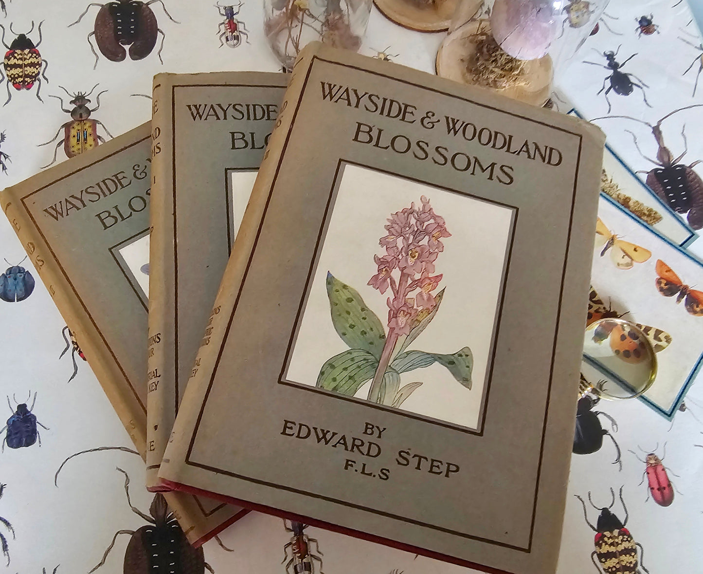 1940s Wayside and Woodland Blossoms A Guide To British Wild Flowers In 3 Volumes / Warne & Co. / In Good Condition / Numerous Colour Plates