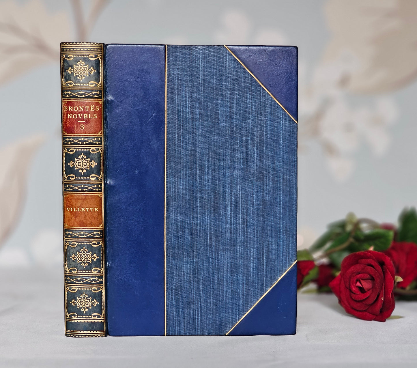1922 Villette by Charlotte Bronte / JM Dent & Sons, London / Twelve Delightful Colour Plates by Edmund Dulac / UN-READ / Leather Binding