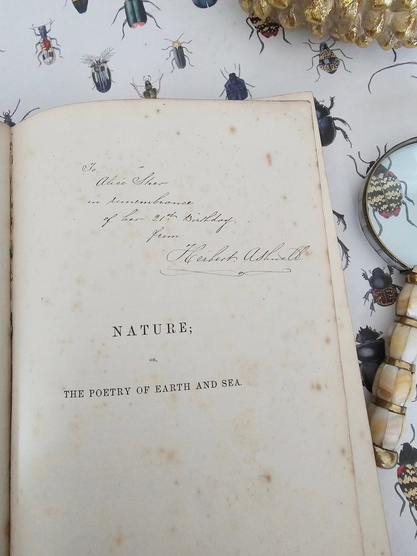 1872 Nature; or The Poetry of Earth and Sea by Mme Michelet / T Nelson & Sons, London / Beautifully Illustrated / Victorian Nature Writings