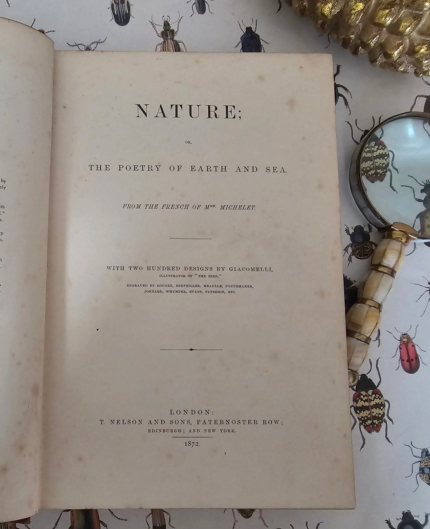 1872 Nature; or The Poetry of Earth and Sea by Mme Michelet / T Nelson & Sons, London / Beautifully Illustrated / Victorian Nature Writings