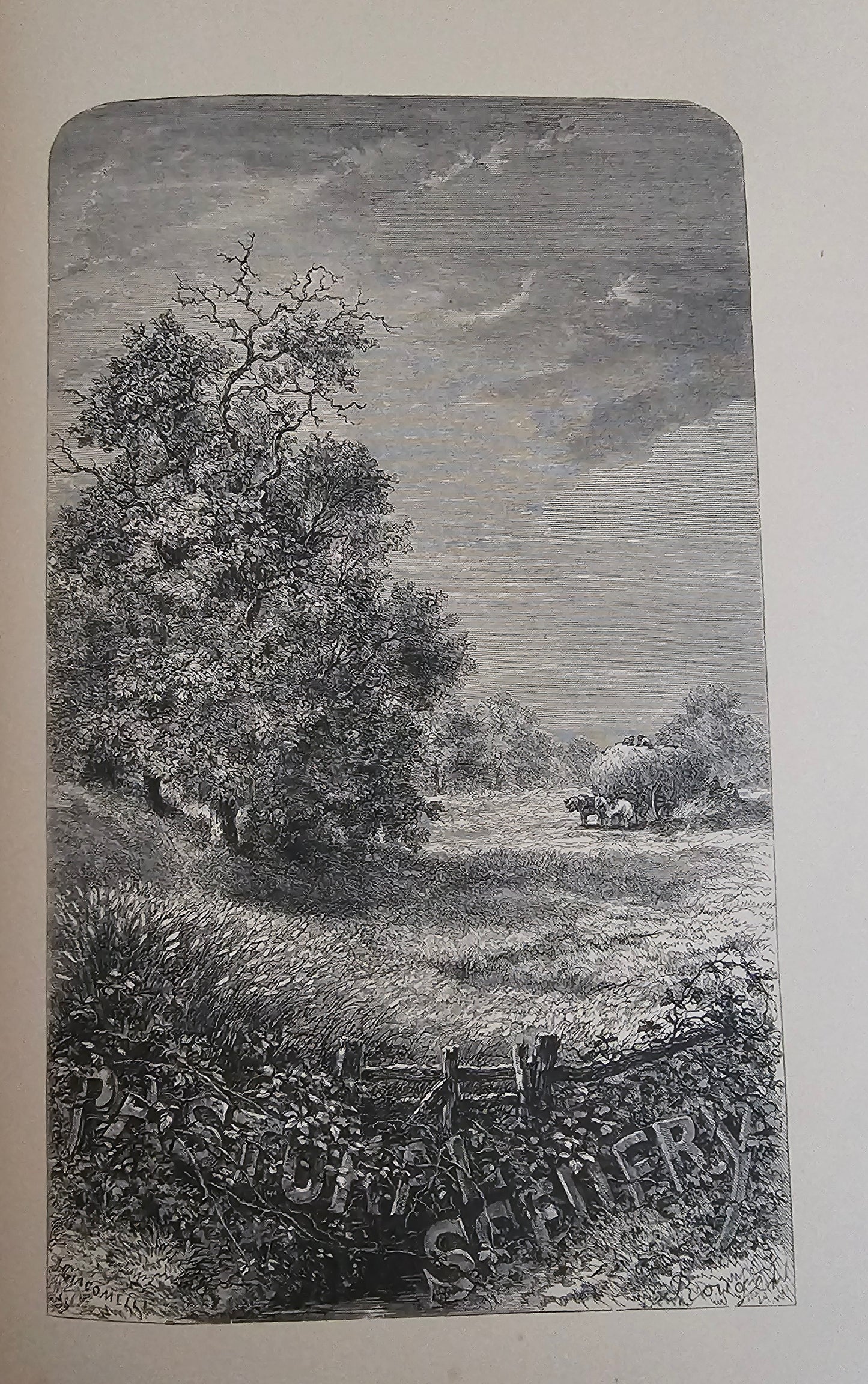 1872 Nature; or The Poetry of Earth and Sea by Mme Michelet / T Nelson & Sons, London / Beautifully Illustrated / Victorian Nature Writings