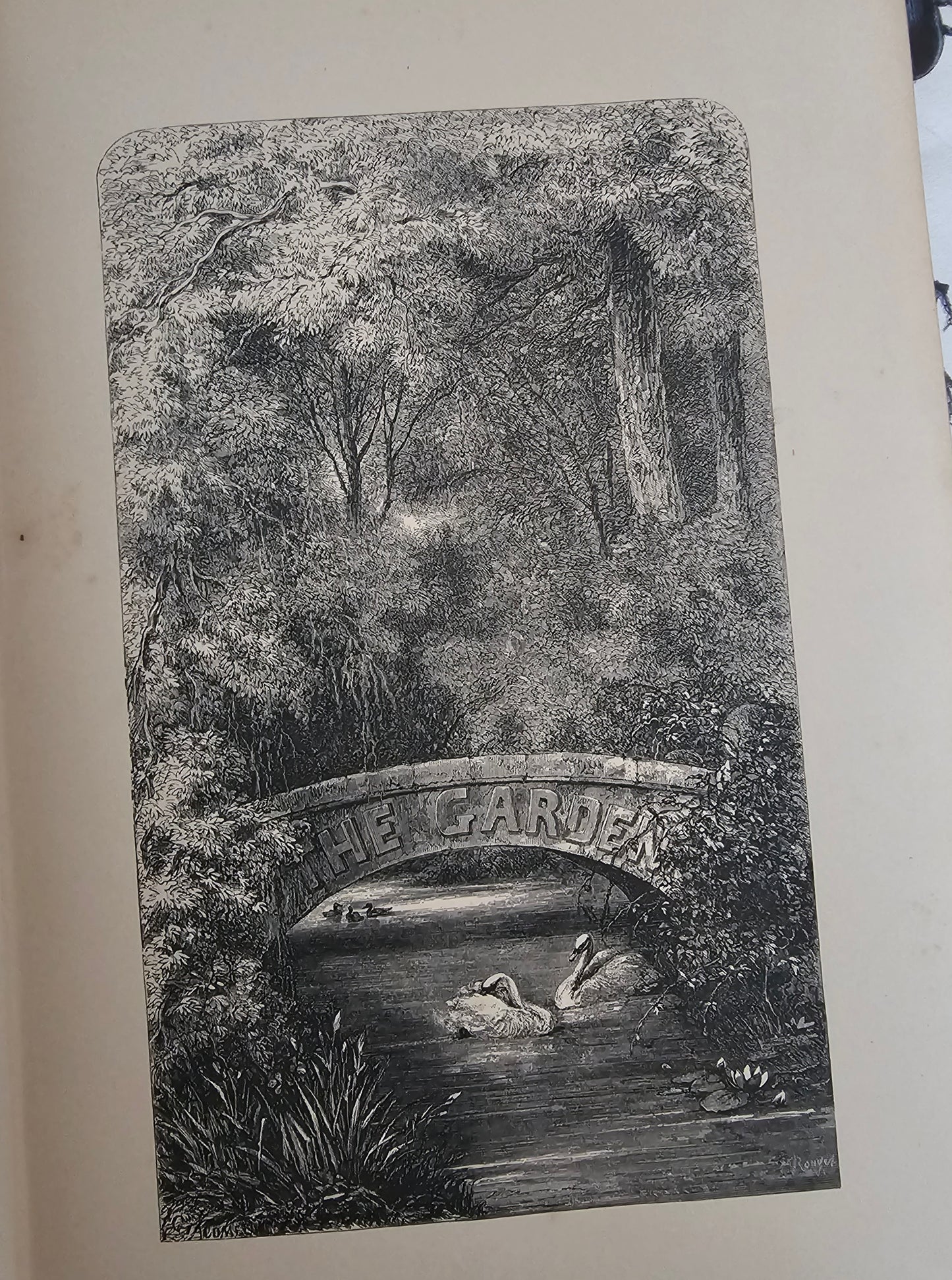 1872 Nature; or The Poetry of Earth and Sea by Mme Michelet / T Nelson & Sons, London / Beautifully Illustrated / Victorian Nature Writings