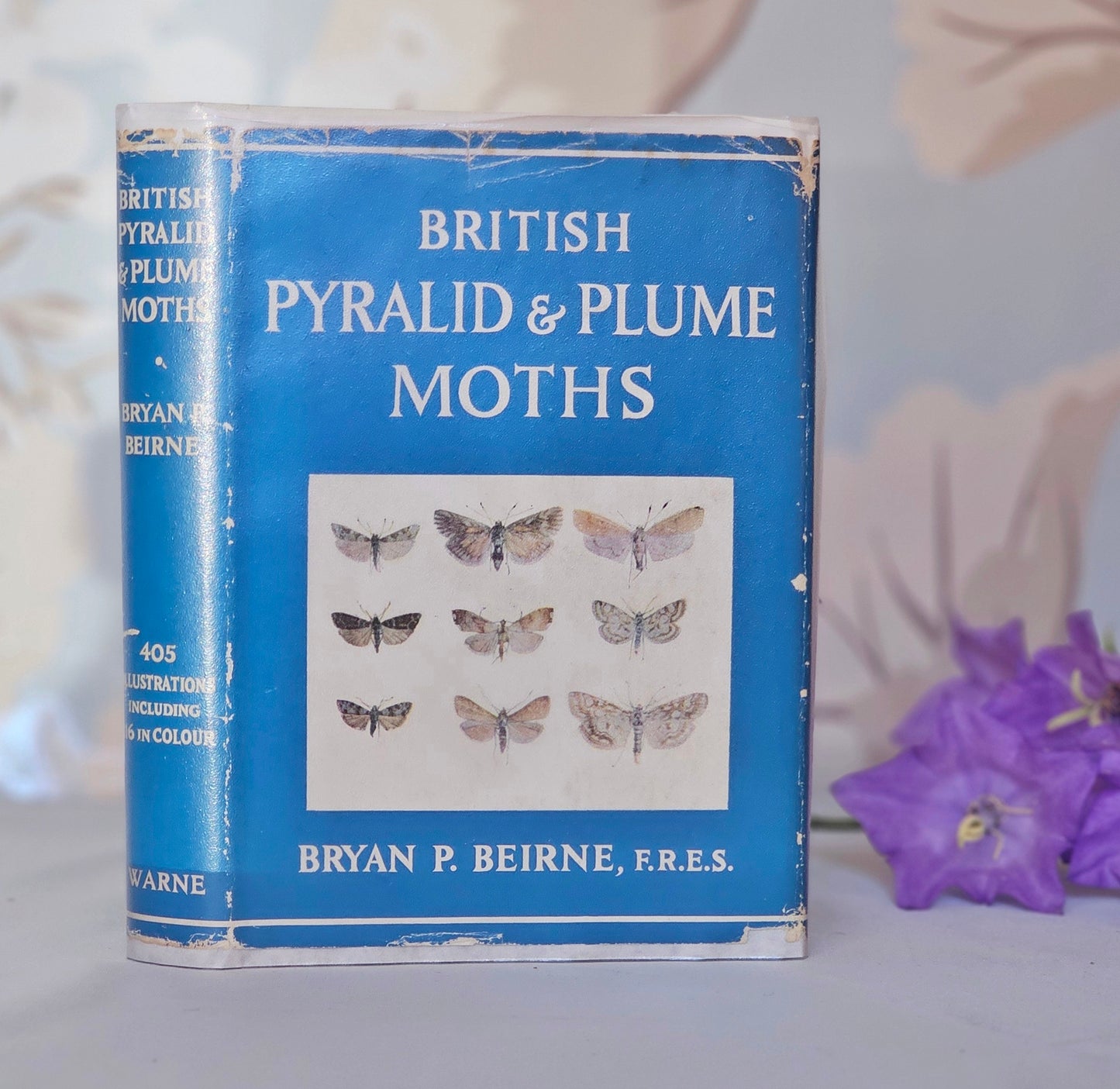 1954 British Pyralid and Plume Moths by Bryan Beirne / 405 Illustrations and Diagrams - 216 in Colour / Warne & Co., London / Dust Wrapper