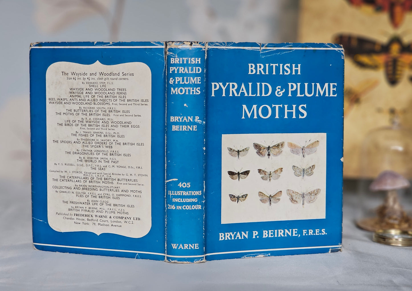 1954 British Pyralid and Plume Moths by Bryan Beirne / 405 Illustrations and Diagrams - 216 in Colour / Warne & Co., London / Dust Wrapper