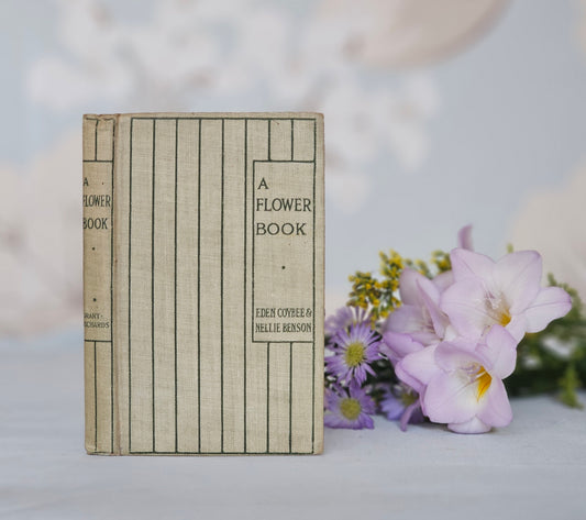 1901 A Flower Book / Beautiful Small Pocket-Sized Book / Richly Illustrated Throughout With Flower Fairies and Elves / Story and Flower Lore