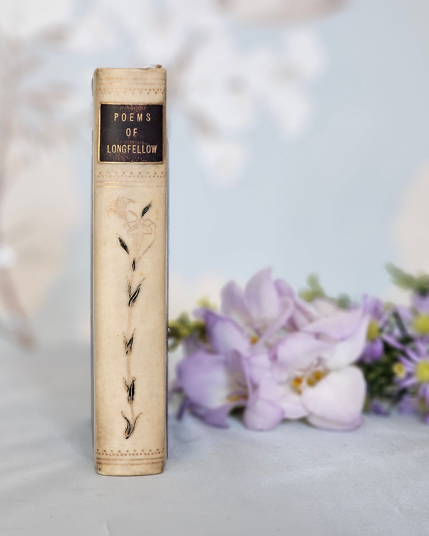 1900s Poems of Henry Wadsworth Longfellow / Walter Scott Publishing, London / Lovely Vellum Decorative Binding / Good Condition