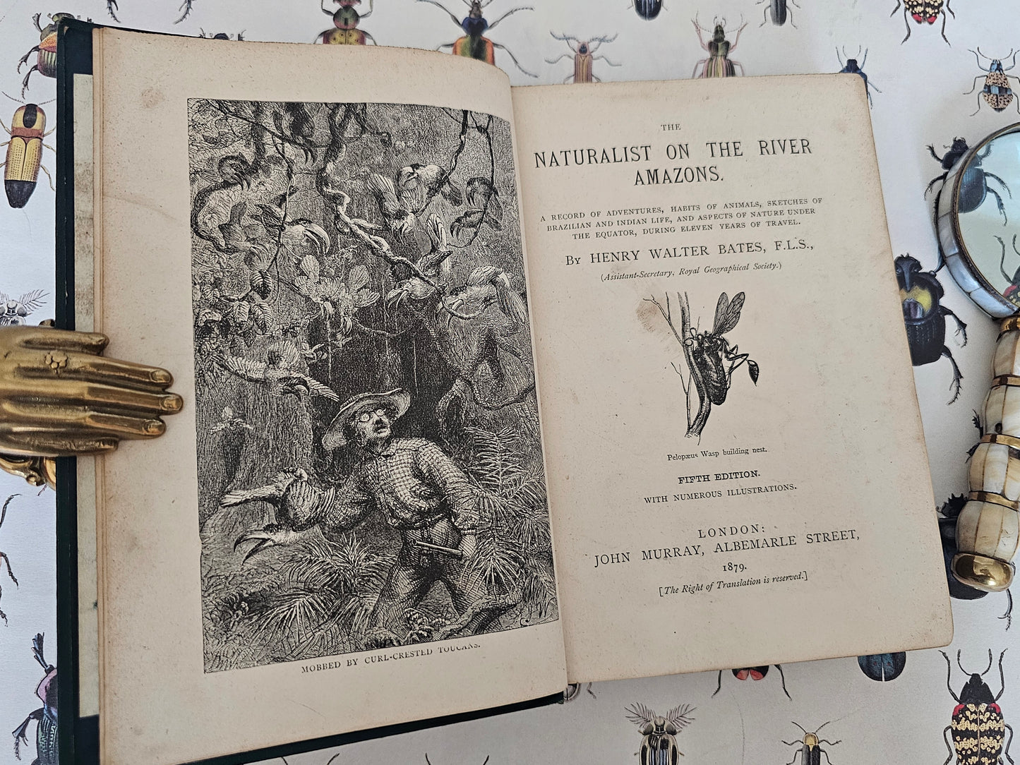 1879 The Naturalist on the River Amazons by Henry Walter Bates / John Murray, London / Richly Illustrated / Antique Natural History Book