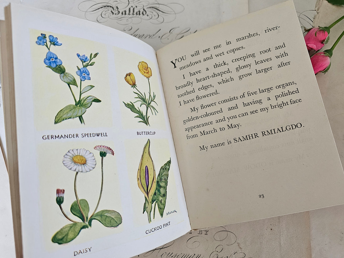 1949 The Puzzle Book of Wild Flowers by Patricia Baines / F Warne & Co., London / Charming Vintage Book With Colour Plates / Good Condition