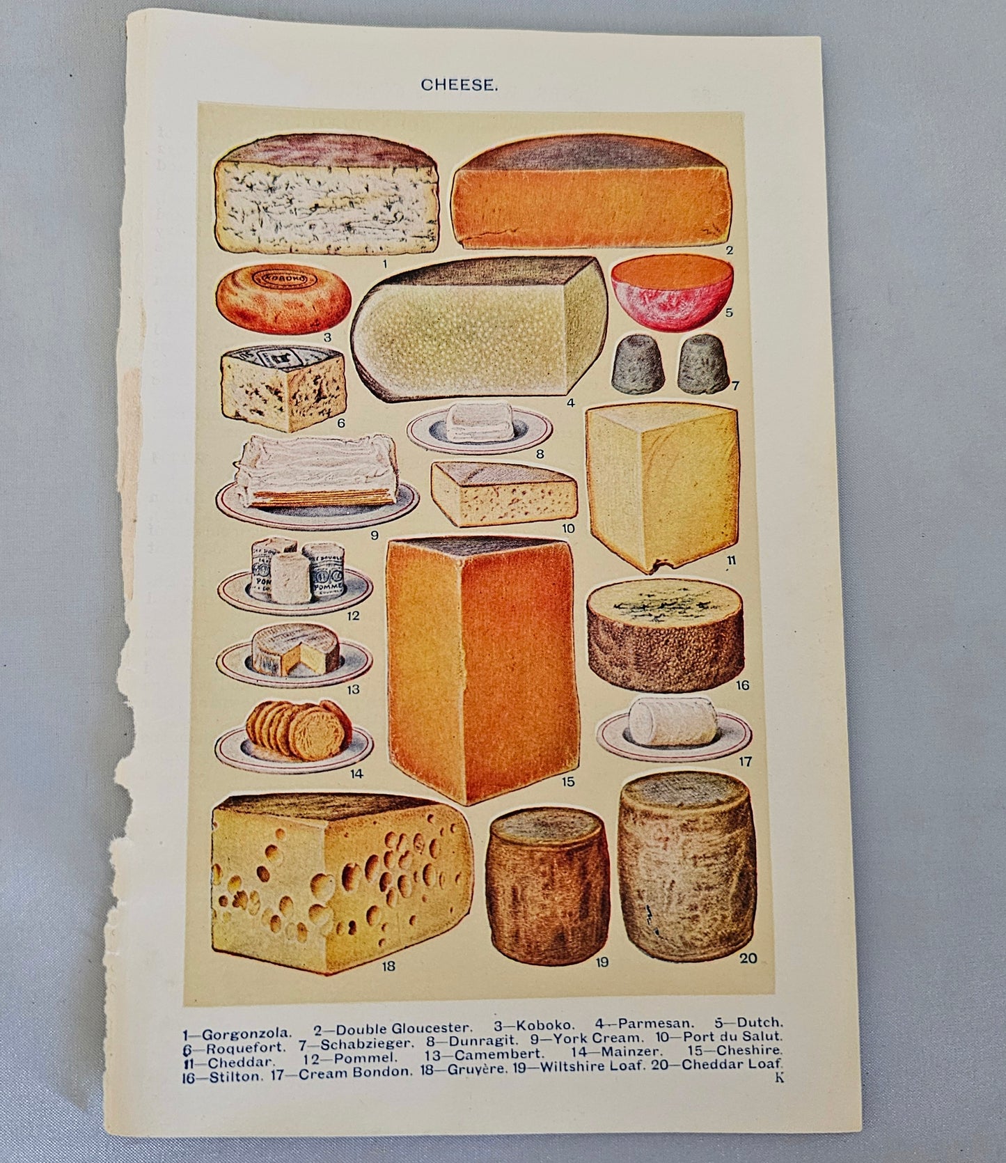 A Vintage Selection of Mrs Beeton's Cookery Plates / Artwork / 16 Colour Plates / Good Condition / Rescued From Several Broken Vintage Books