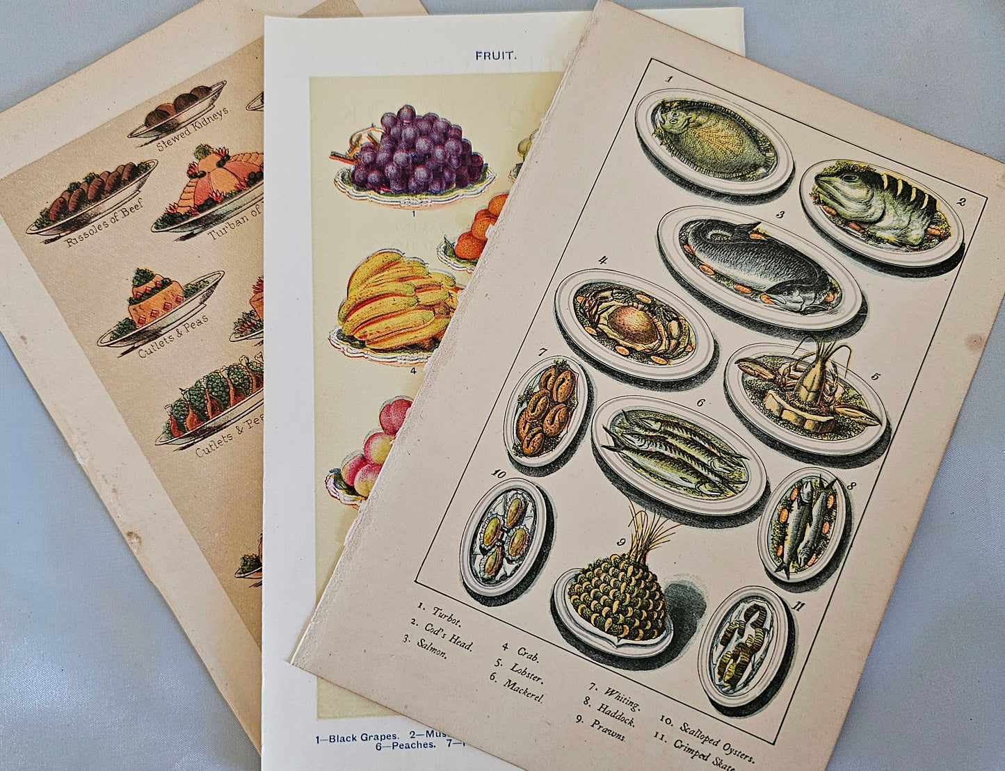 A Vintage Selection of Mrs Beeton's Cookery Plates / Artwork / 16 Colour Plates / Good Condition / Rescued From Several Broken Vintage Books