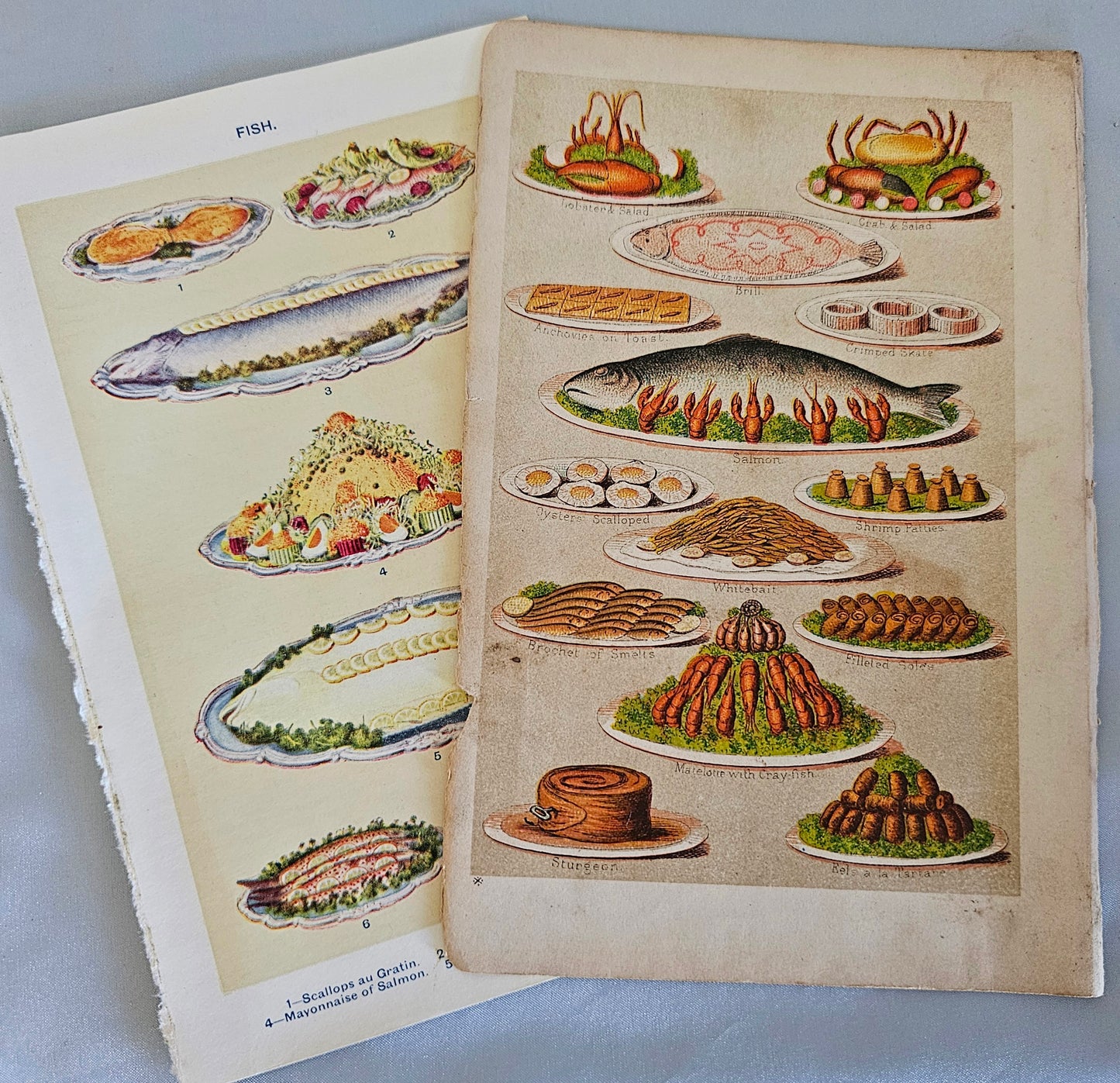 A Vintage Selection of Mrs Beeton's Cookery Plates / Artwork / 16 Colour Plates / Good Condition / Rescued From Several Broken Vintage Books