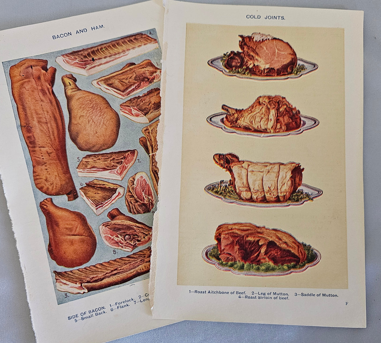 A Vintage Selection of Mrs Beeton's Cookery Plates / Artwork / 16 Colour Plates / Good Condition / Rescued From Several Broken Vintage Books