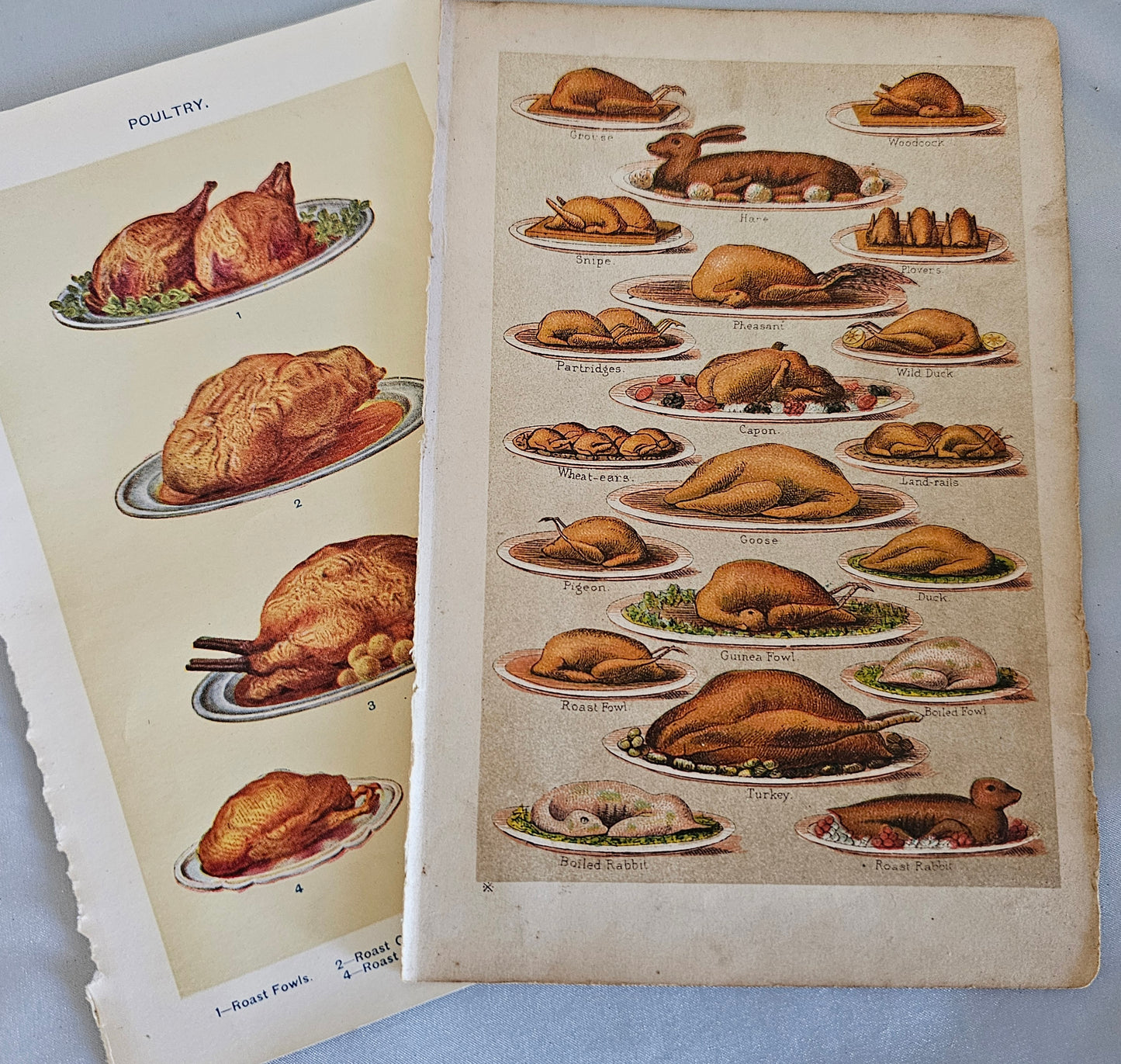 A Vintage Selection of Mrs Beeton's Cookery Plates / Artwork / 16 Colour Plates / Good Condition / Rescued From Several Broken Vintage Books