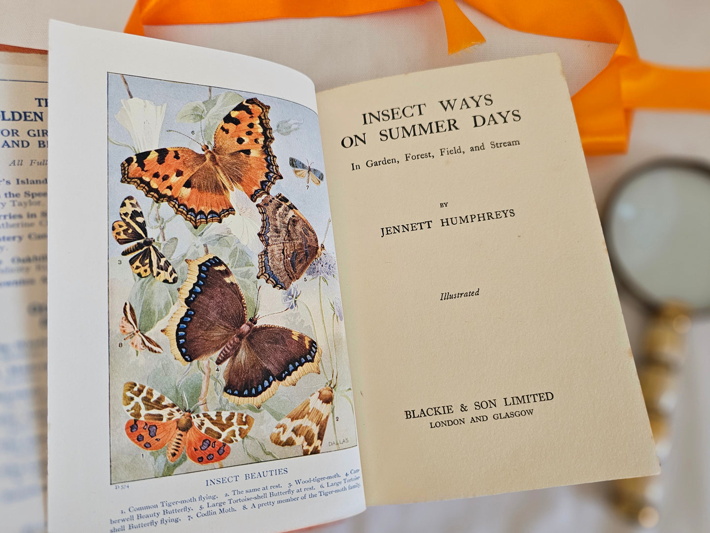 1940s Insect Ways and Summer Days by Jennett Humphreys / Blackie and Son Ltd, London / Richly Illustrated Vintage Book / Dust Wrapper