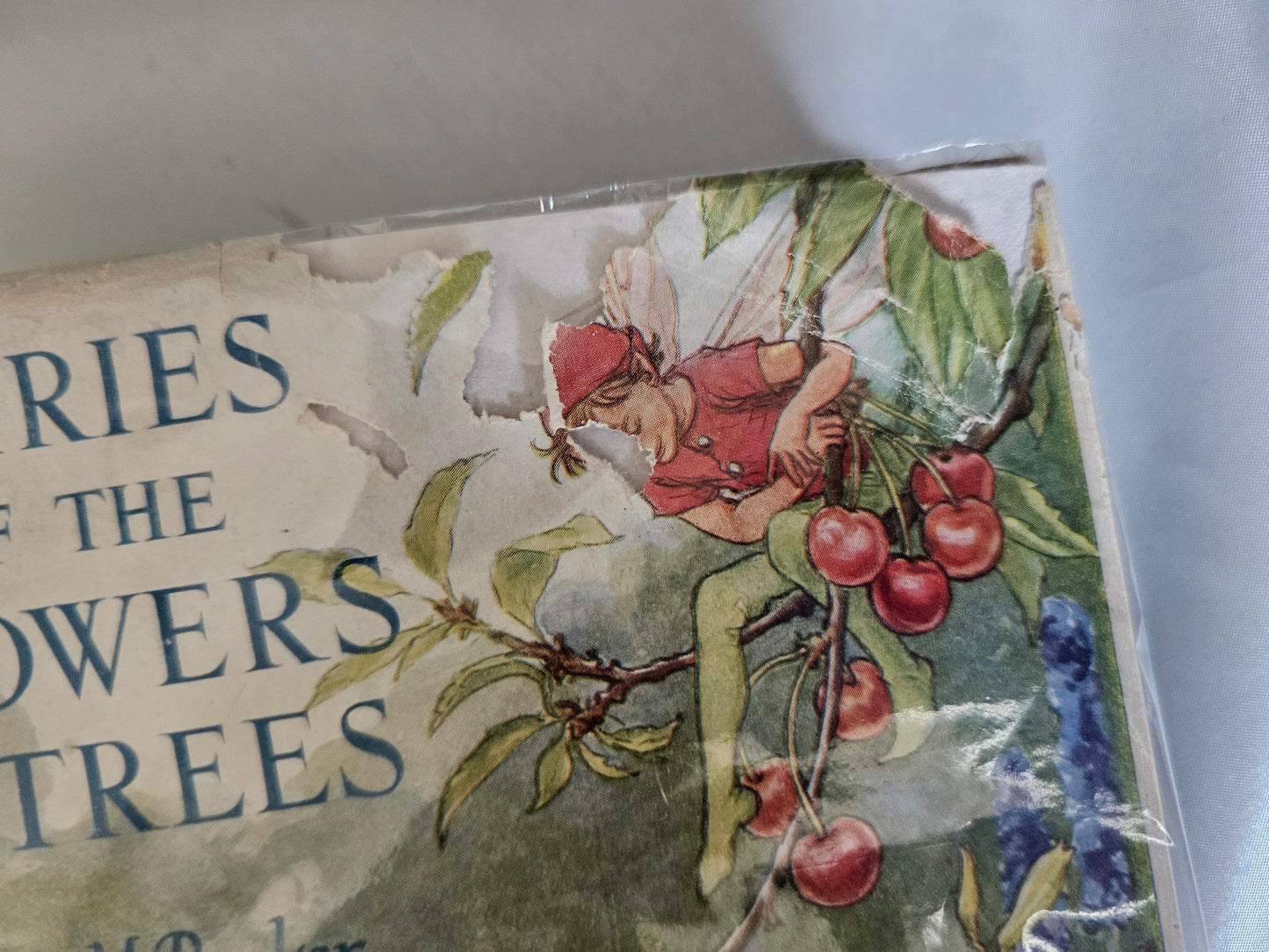 1950 Fairies of the Flowers and Trees Poems and Pictures by Cicely Mary Barker / Blackie & Son Ltd London / With Original SCARCE Wrapper