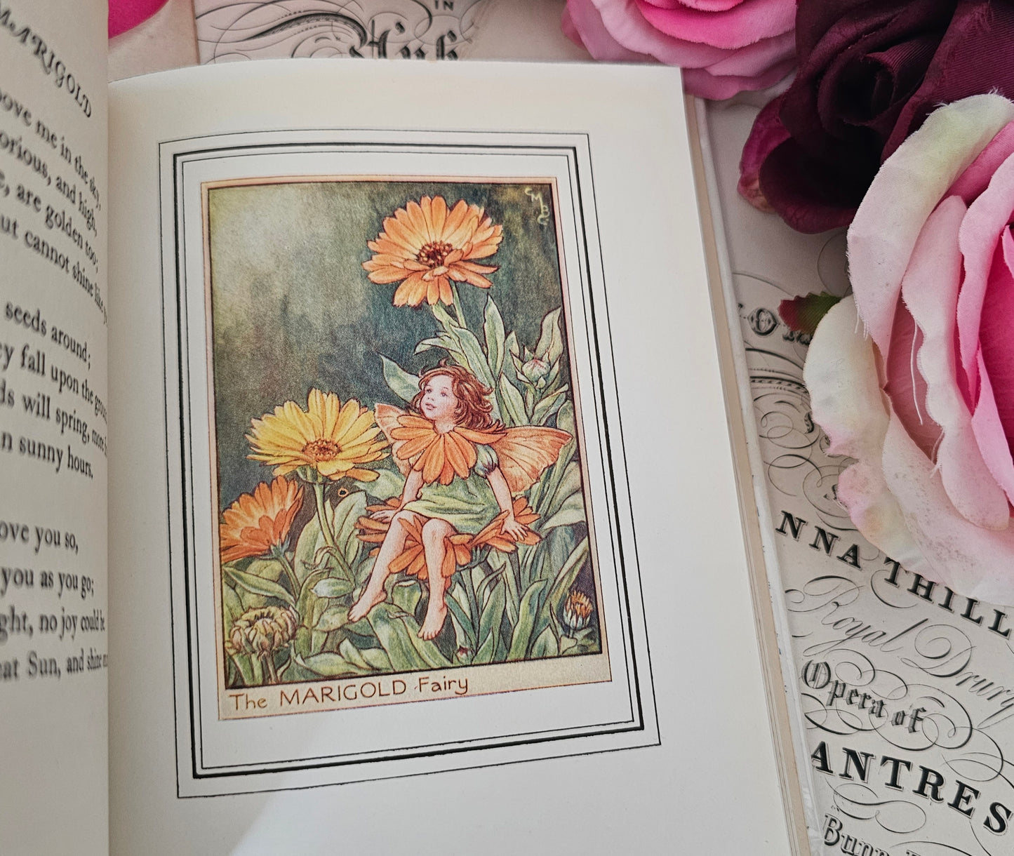 1950 Fairies of the Flowers and Trees Poems and Pictures by Cicely Mary Barker / Blackie & Son Ltd London / With Original SCARCE Wrapper