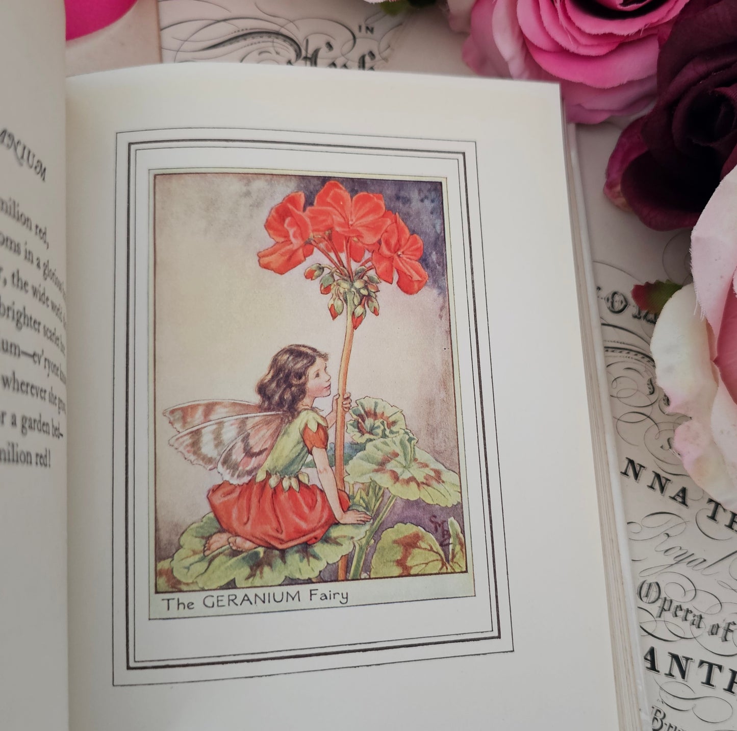 1950 Fairies of the Flowers and Trees Poems and Pictures by Cicely Mary Barker / Blackie & Son Ltd London / With Original SCARCE Wrapper