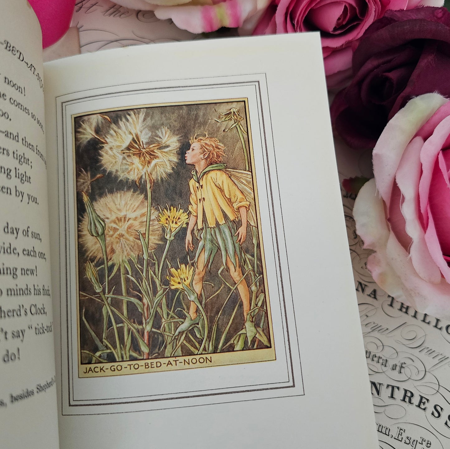 1950 Fairies of the Flowers and Trees Poems and Pictures by Cicely Mary Barker / Blackie & Son Ltd London / With Original SCARCE Wrapper