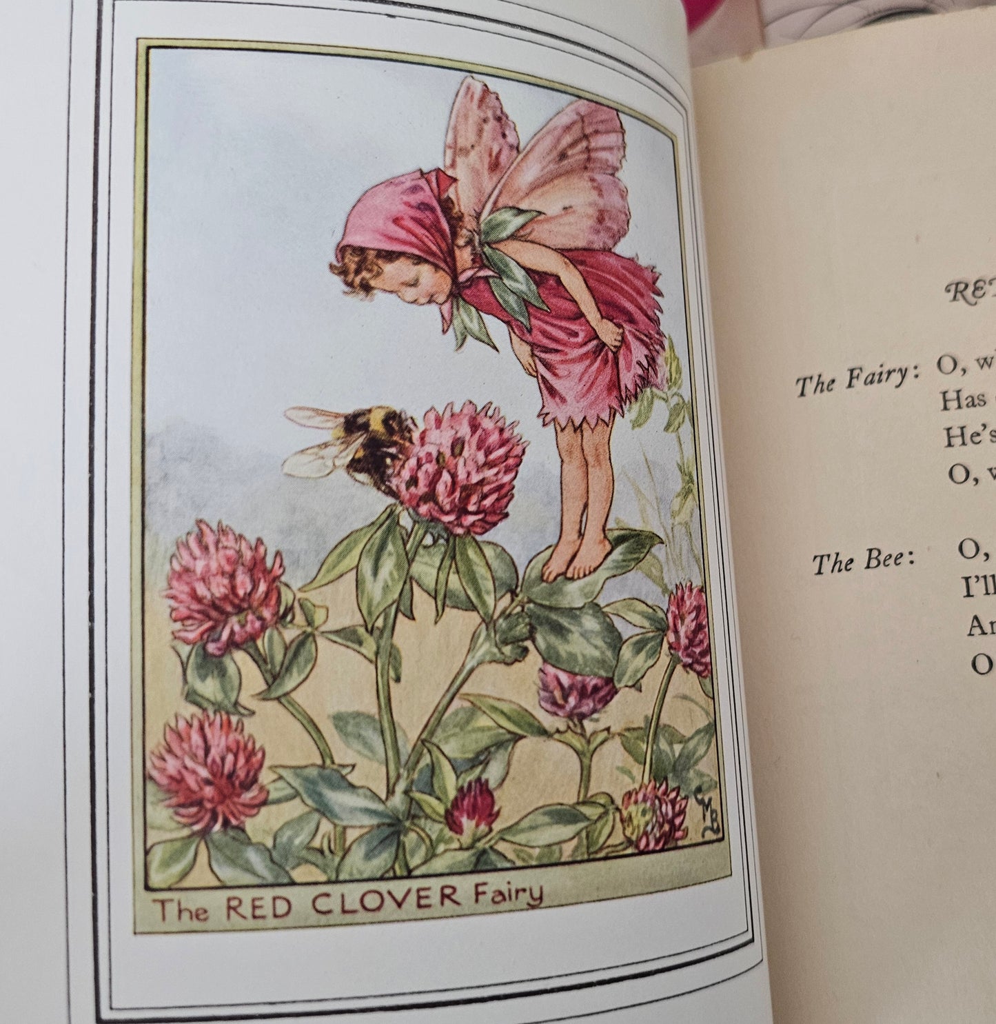 1950 Fairies of the Flowers and Trees Poems and Pictures by Cicely Mary Barker / Blackie & Son Ltd London / With Original SCARCE Wrapper