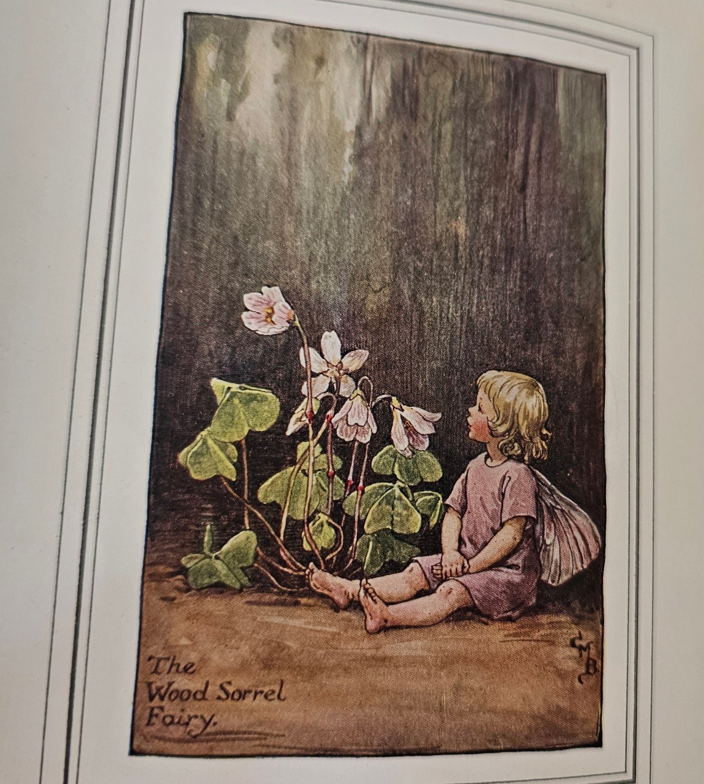 1927 FIRST EDITION The Book of the Flower Fairies, Poems and Pictures by Cicely Mary Barker / Blackie & Son Ltd London / In Good Condition