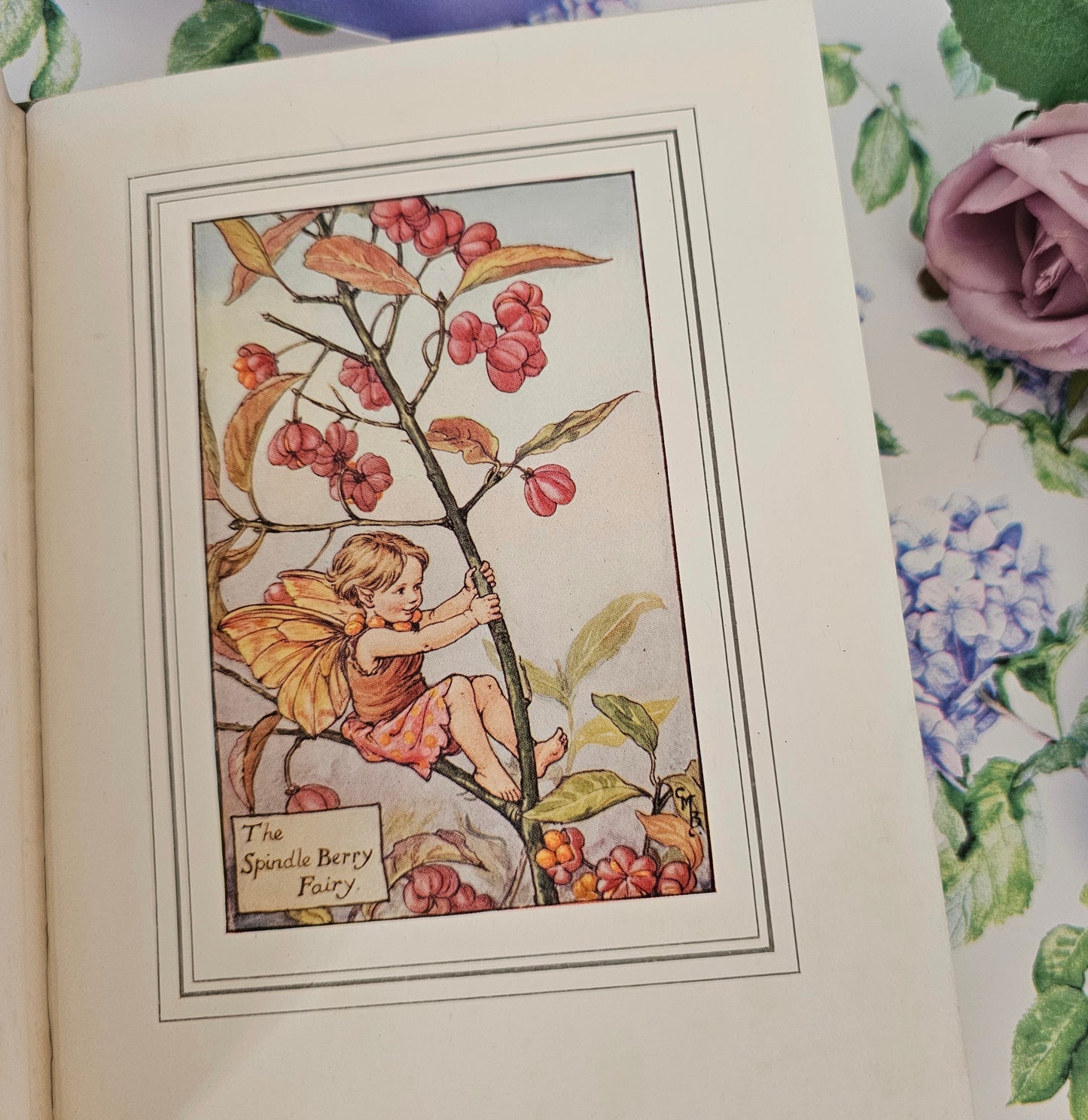 1927 FIRST EDITION The Book of the Flower Fairies, Poems and Pictures by Cicely Mary Barker / Blackie & Son Ltd London / In Good Condition