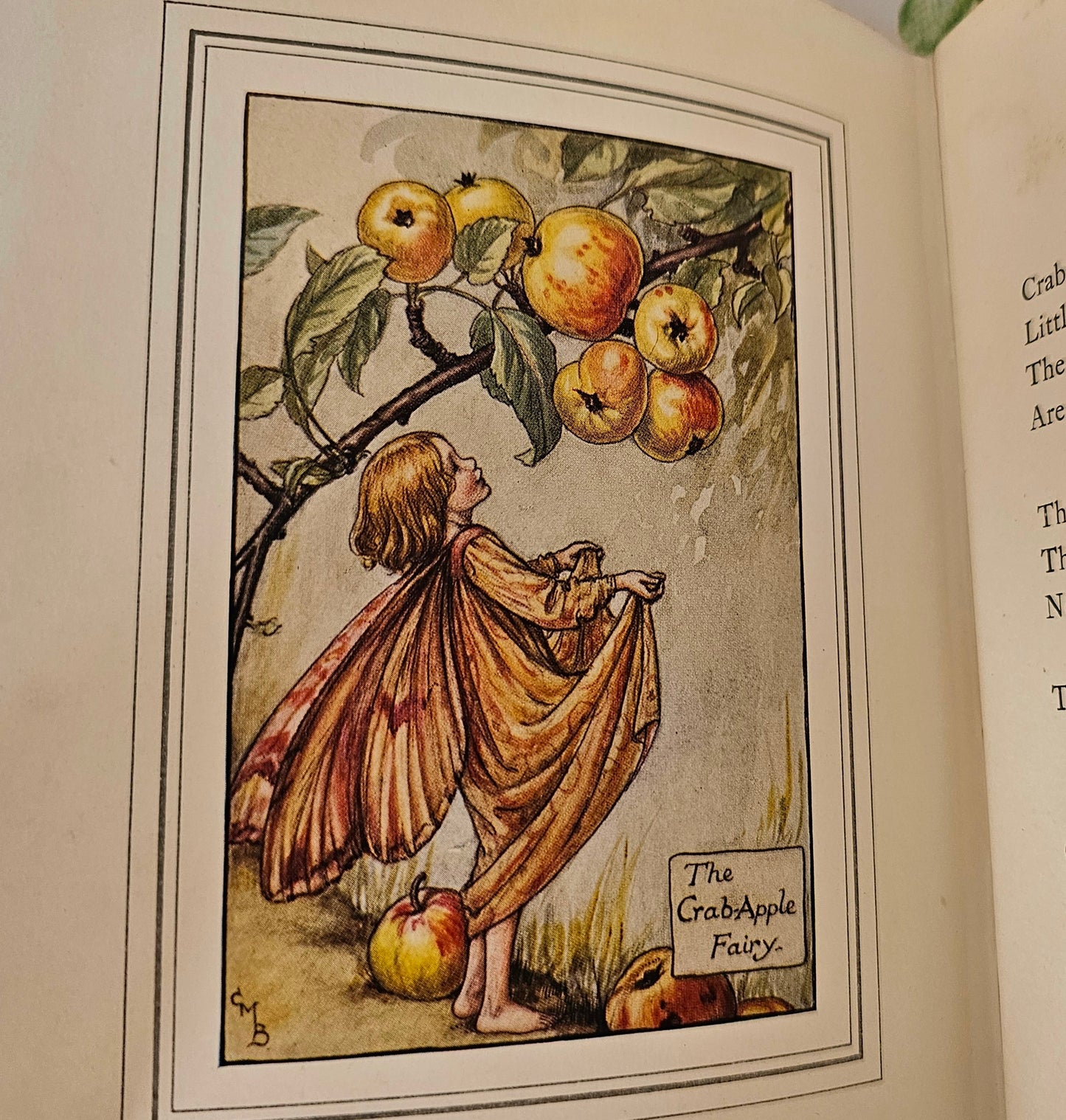 1927 FIRST EDITION The Book of the Flower Fairies, Poems and Pictures by Cicely Mary Barker / Blackie & Son Ltd London / In Good Condition