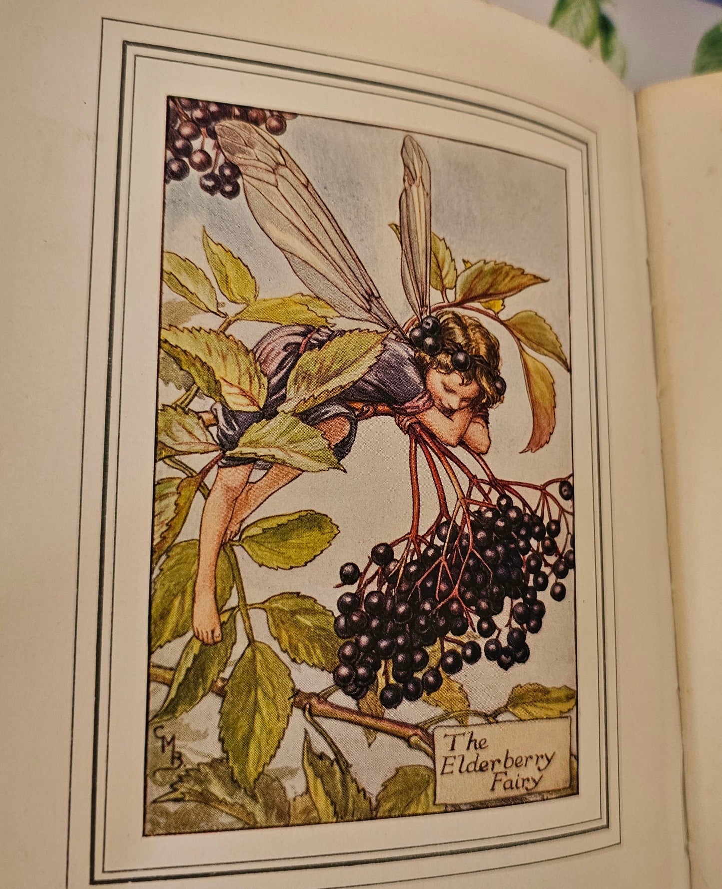 1927 FIRST EDITION The Book of the Flower Fairies, Poems and Pictures by Cicely Mary Barker / Blackie & Son Ltd London / In Good Condition