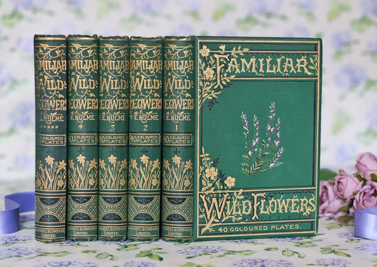 1880s Complete Set in Five Volumes of Familiar Wild Flowers by Edward Hulme / Stunning Victorian Antique Series / Richly Colour Illustrated