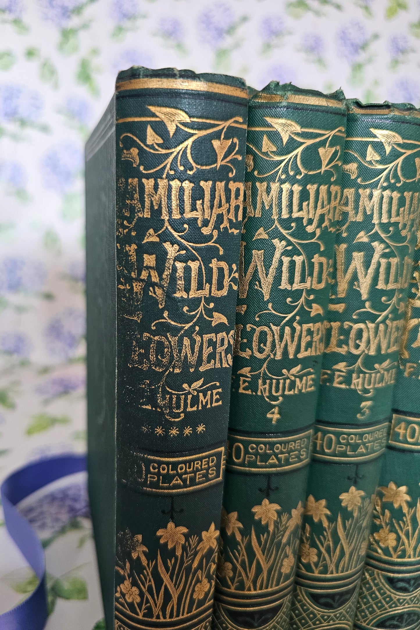 1880s Complete Set in Five Volumes of Familiar Wild Flowers by Edward Hulme / Stunning Victorian Antique Series / Richly Colour Illustrated