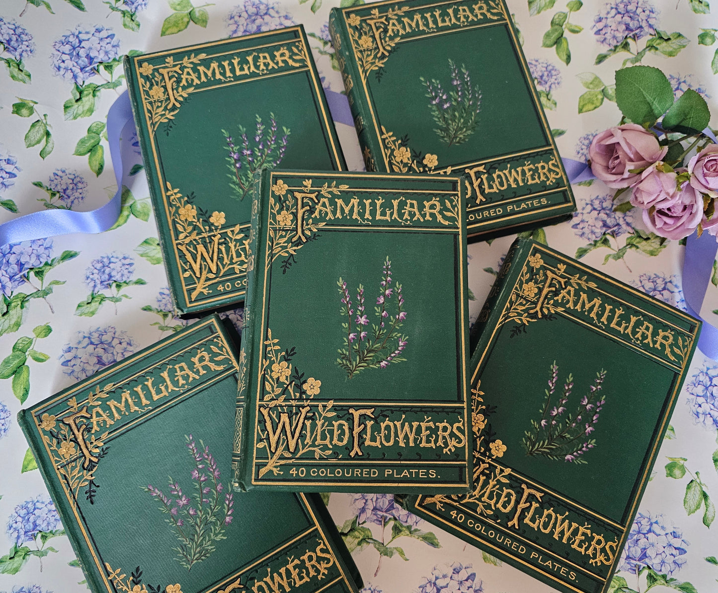 1880s Complete Set in Five Volumes of Familiar Wild Flowers by Edward Hulme / Stunning Victorian Antique Series / Richly Colour Illustrated