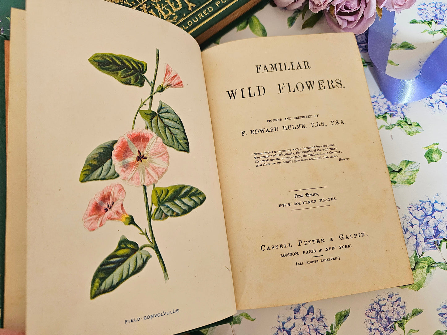 1880s Complete Set in Five Volumes of Familiar Wild Flowers by Edward Hulme / Stunning Victorian Antique Series / Richly Colour Illustrated