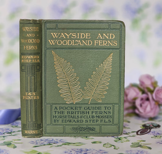 1922 Wayside and Woodland Ferns A Pocket Guide To The British Ferns Horsetails & Club-Mosses by Edward Step / Frederick Warne / Illustrated