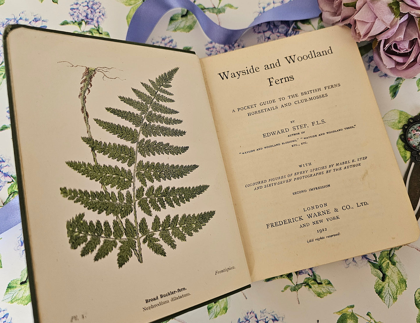 1922 Wayside and Woodland Ferns A Pocket Guide To The British Ferns Horsetails & Club-Mosses by Edward Step / Frederick Warne / Illustrated