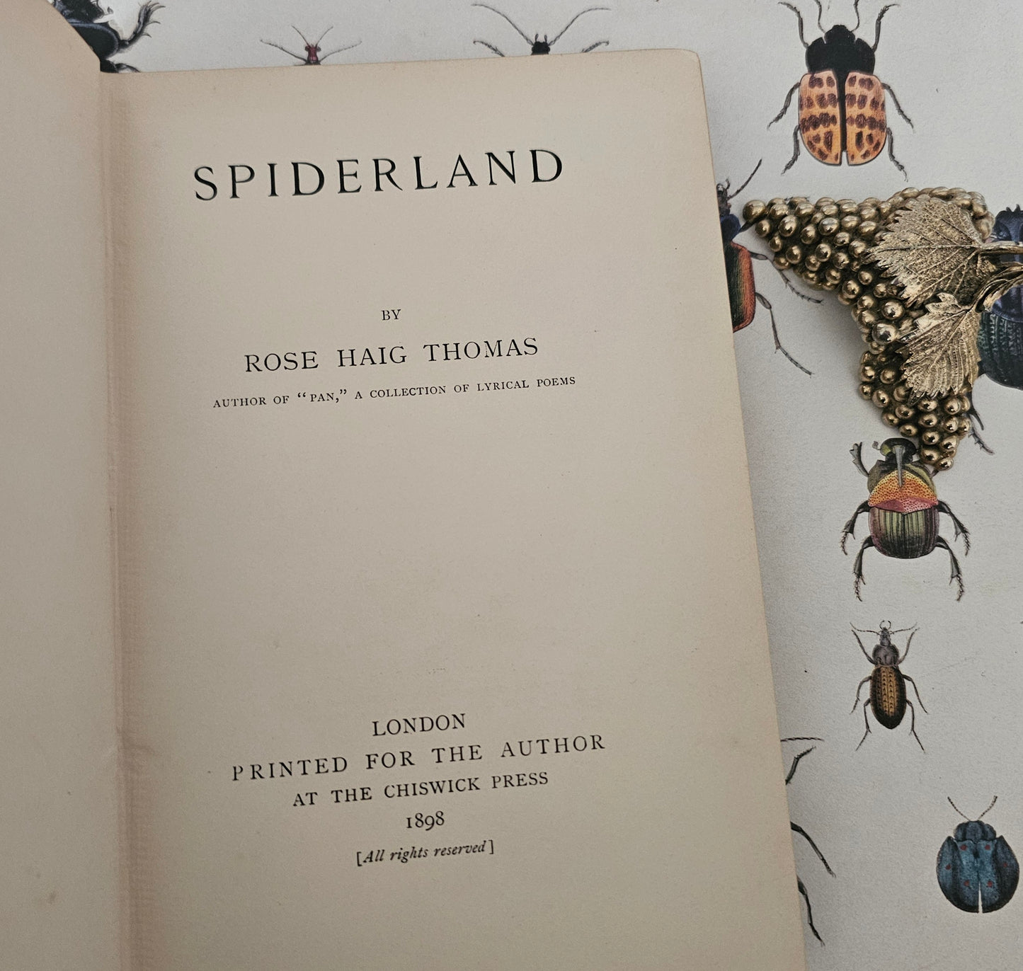 1898 Spiderland by Rose Haig Thomas / Five Colour Plates Plus Many Drawings / Charming Stories For Children Based on Insects and Flowers