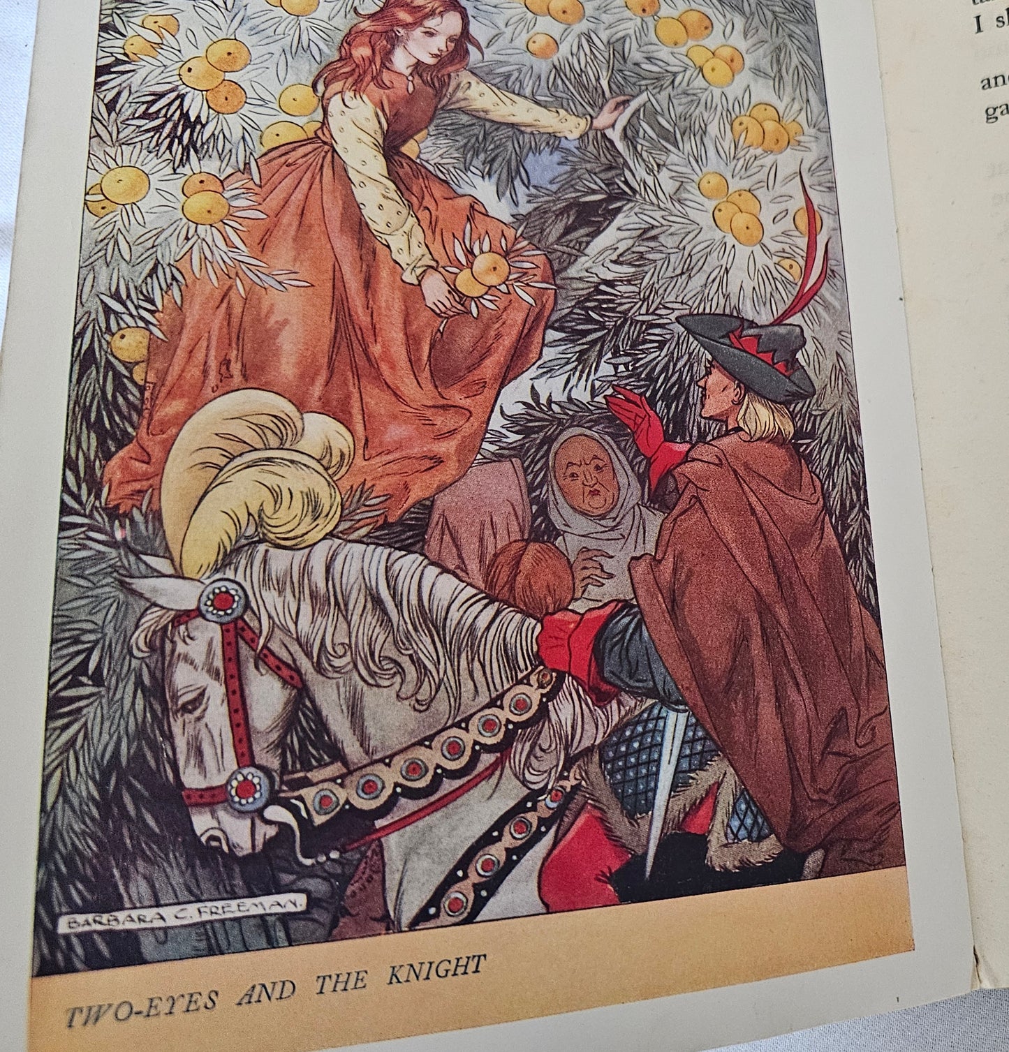 1950s Stories From Grimm / 16 Full Page Colour Plates by Harry Theaker / Vintage Fairy Tale Book / Good Condition / Snow White & Rose Red etc.