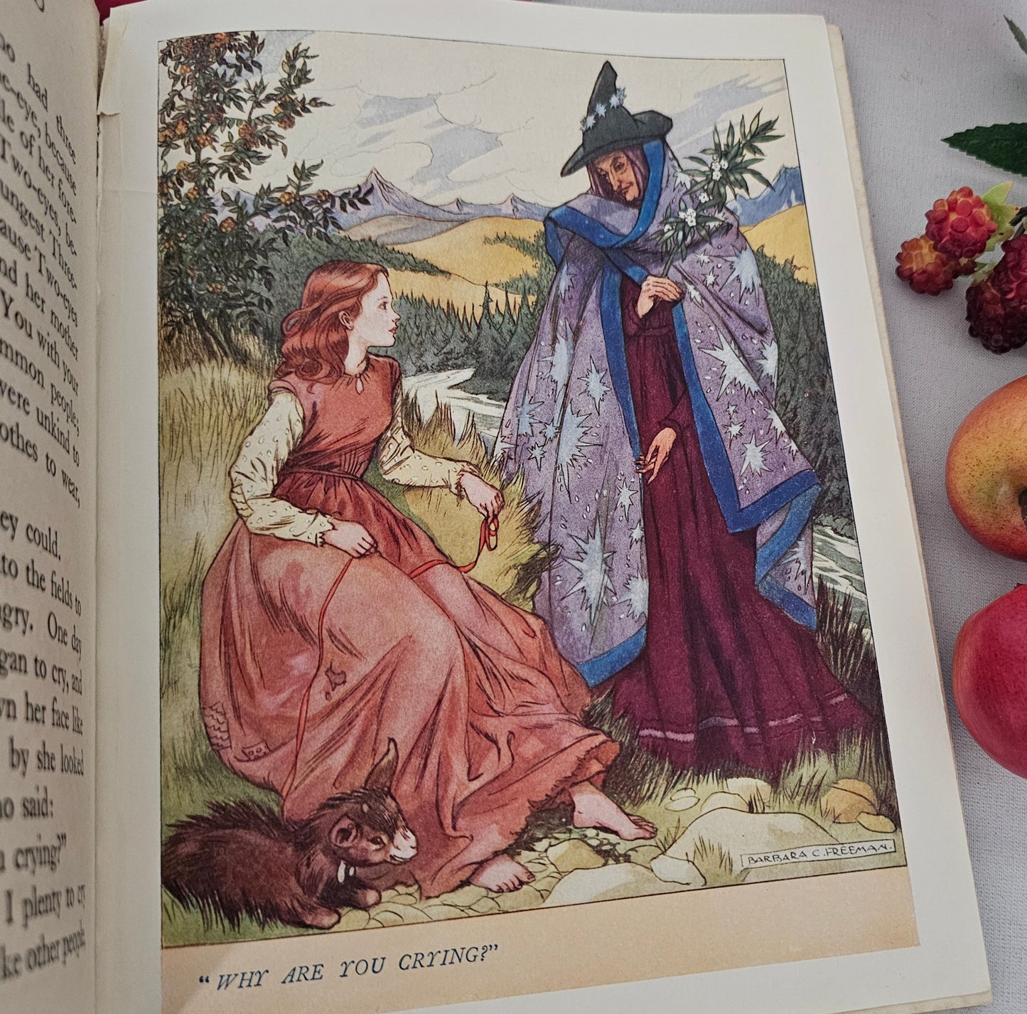 1950s Stories From Grimm / 16 Full Page Colour Plates by Harry Theaker / Vintage Fairy Tale Book / Good Condition / Snow White & Rose Red etc.