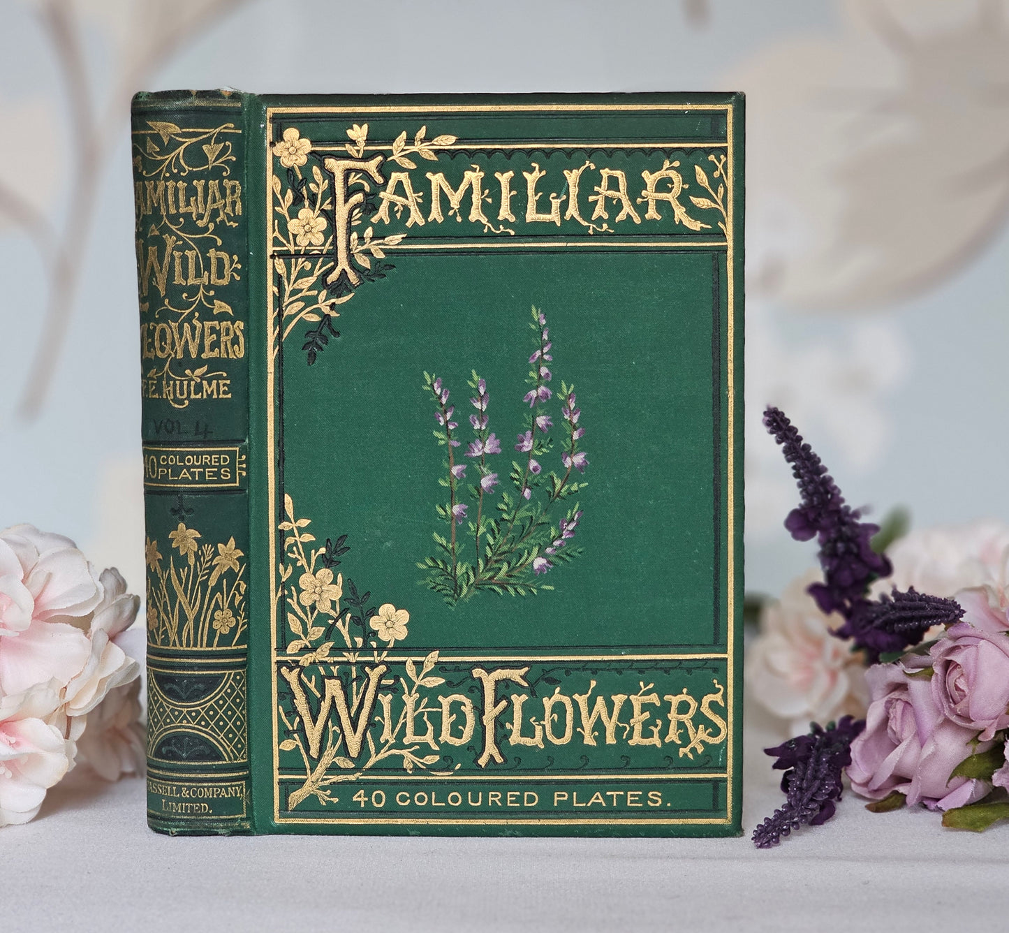 1883 Familiar Wild Flowers by Edward Hulme / Stunning Victorian Antique Book Fourth Series / Richly Colour Illustrated / Very Good Condition