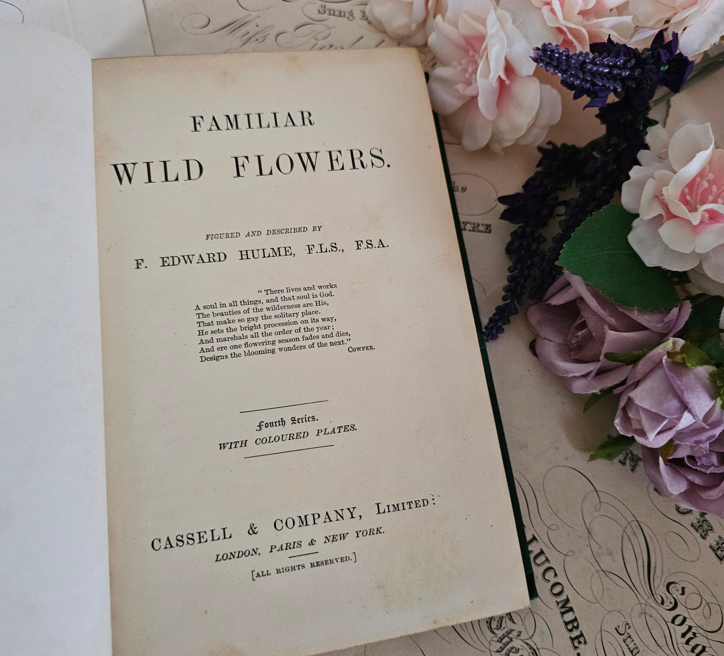 1883 Familiar Wild Flowers by Edward Hulme / Stunning Victorian Antique Book Fourth Series / Richly Colour Illustrated / Very Good Condition