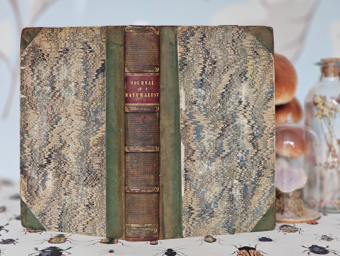 1829 The Journal of a Naturalist (Knapp) / John Murray, London Second Edition / Lovely Natural History Title / Illustrated / 195 Years Old