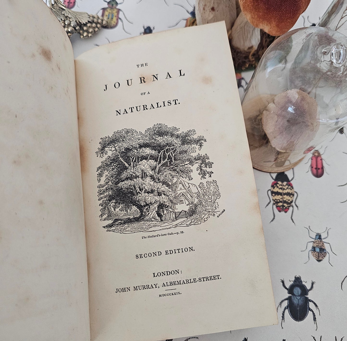 1829 The Journal of a Naturalist (Knapp) / John Murray, London Second Edition / Lovely Natural History Title / Illustrated / 195 Years Old