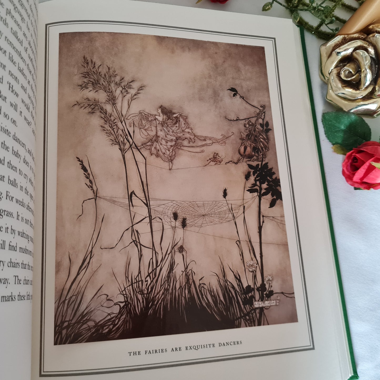 2005 Peter Pan In Kensington Gardens by JM Barrie / Deluxe Edition / Illustrated by Arthur Rackham / The Folio Society, London