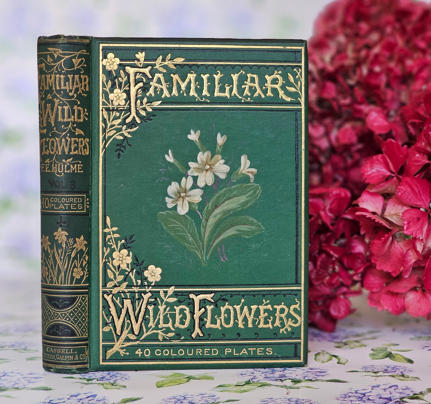 1883 Familiar Wild Flowers by Edward Hulme / Stunning Victorian Antique Book Third Series / Richly Colour Illustrated / Very Good Condition