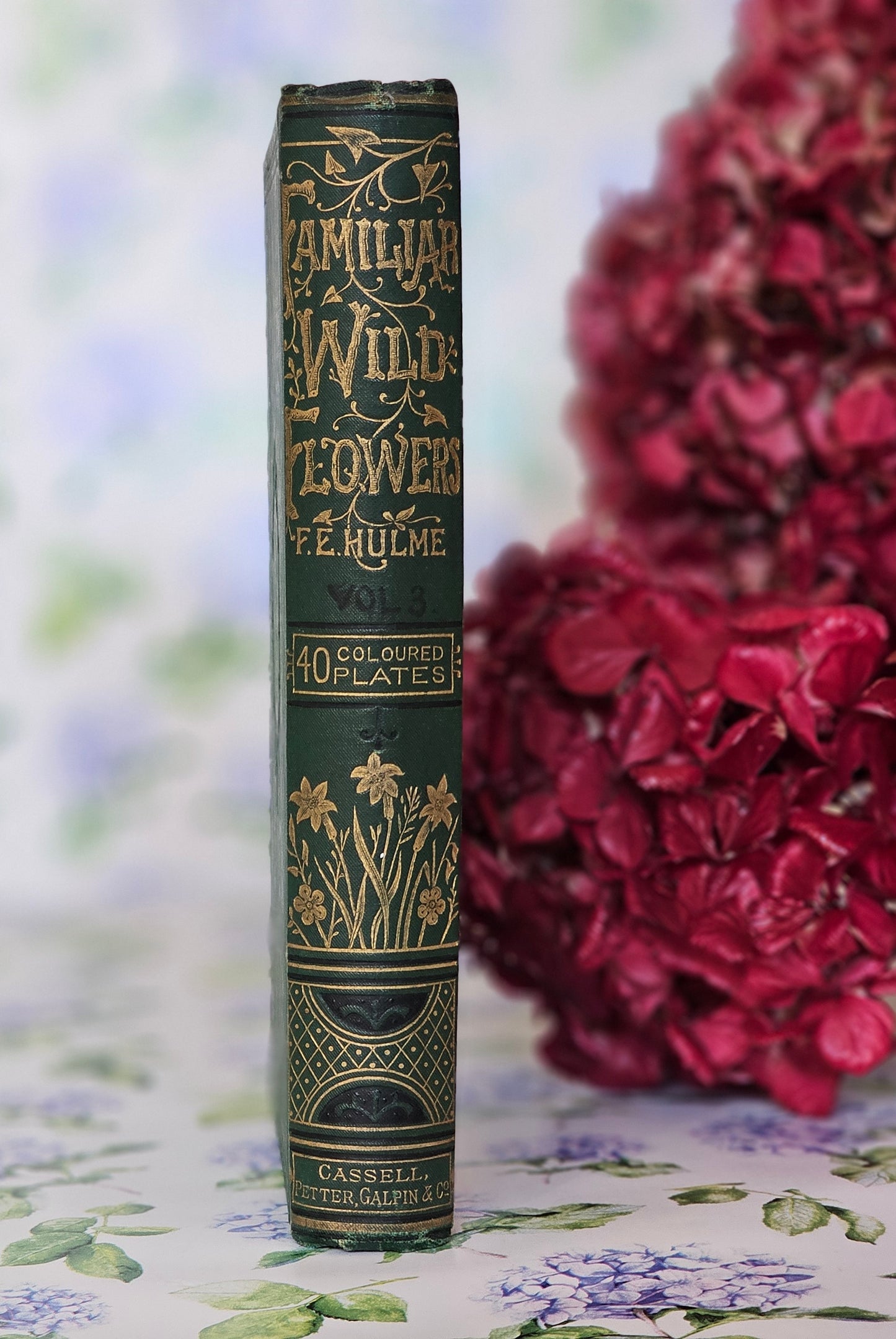 1883 Familiar Wild Flowers by Edward Hulme / Stunning Victorian Antique Book Third Series / Richly Colour Illustrated / Very Good Condition