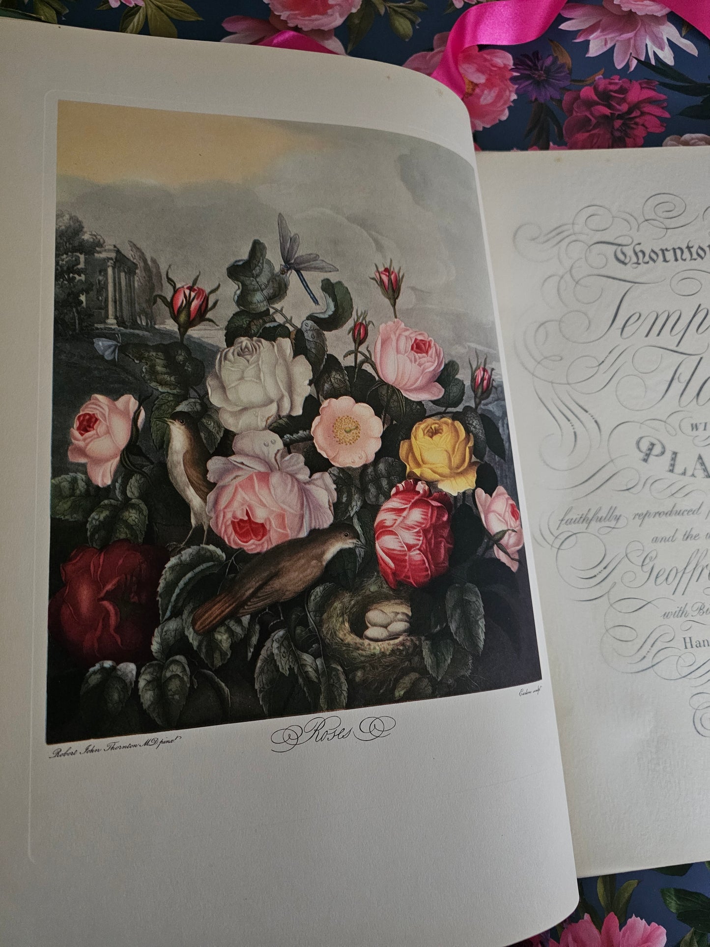 1951 Large Volume of Thornton's Temple of Flora / A Beautiful Reproduction of the Original With 12 Wonderful Colour Plates and 24 Collotype