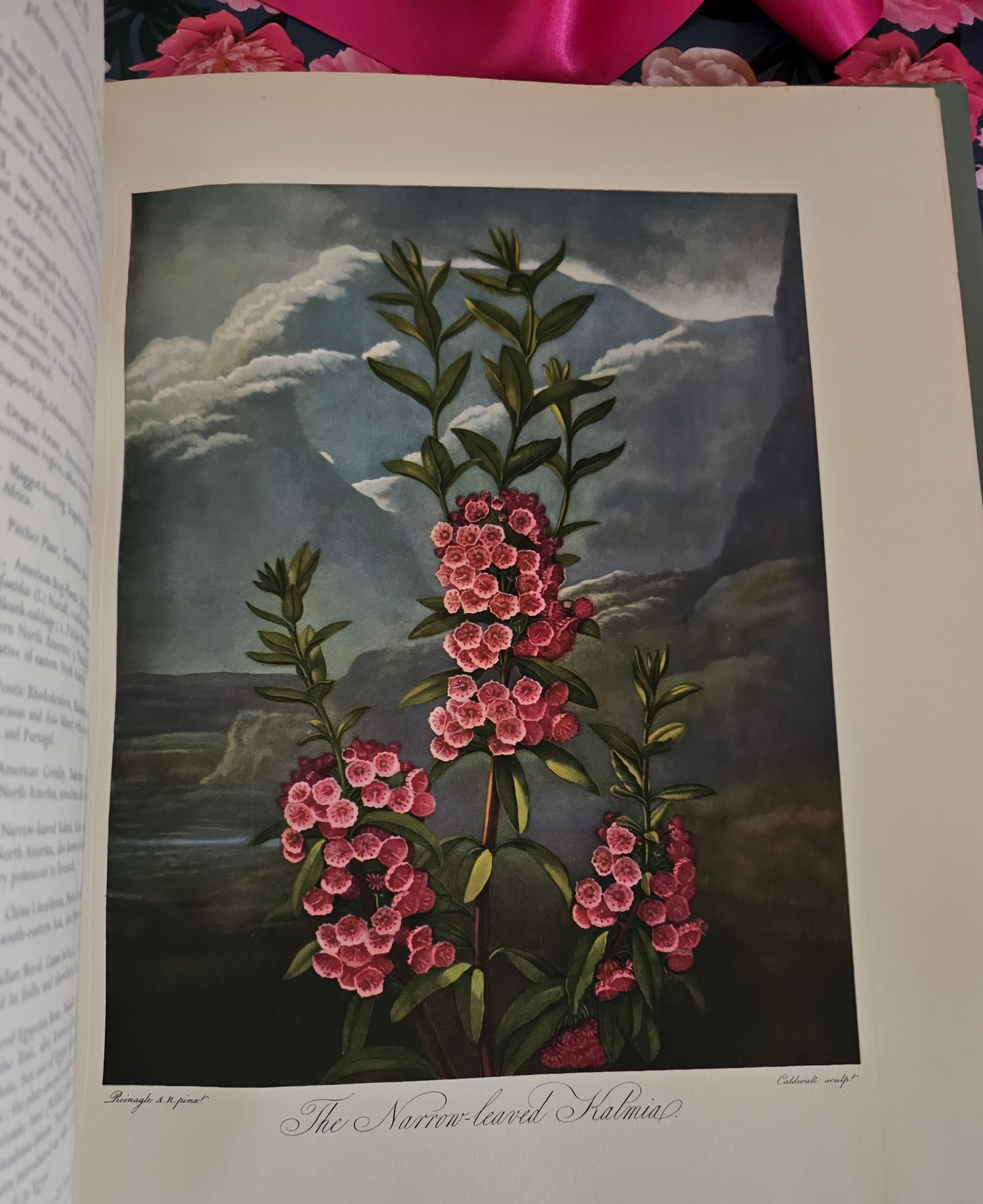 1951 Large Volume of Thornton's Temple of Flora / A Beautiful Reproduction of the Original With 12 Wonderful Colour Plates and 24 Collotype