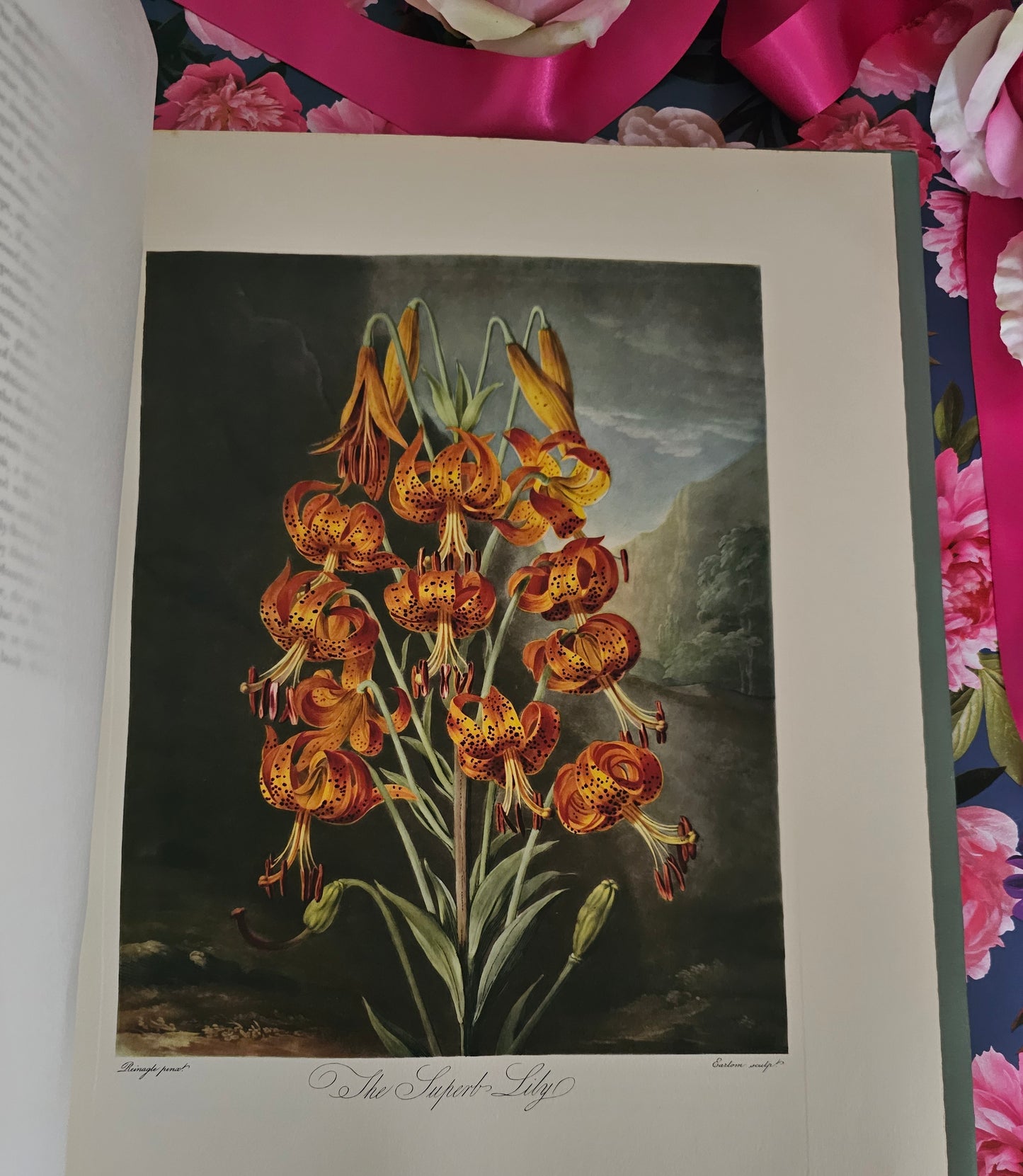 1951 Large Volume of Thornton's Temple of Flora / A Beautiful Reproduction of the Original With 12 Wonderful Colour Plates and 24 Collotype