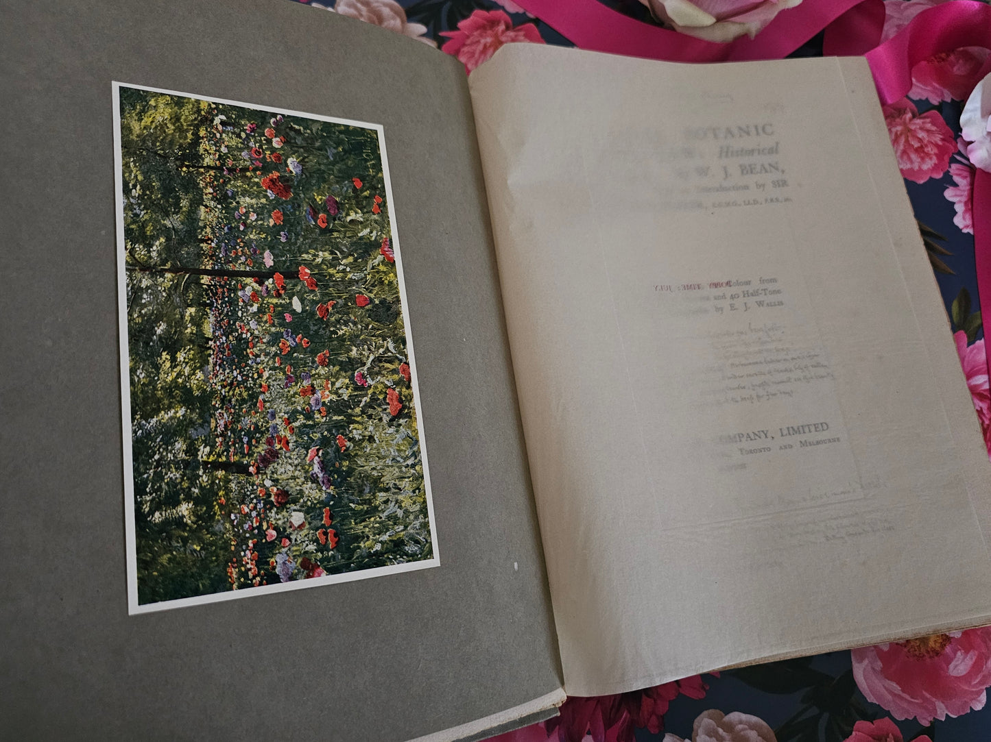 1908 The Royal Botanic Gardens, Kew by WJ Bean / Limited Edition / Cassell & Co., London / 20 Colour Plates and Many More in Black and White