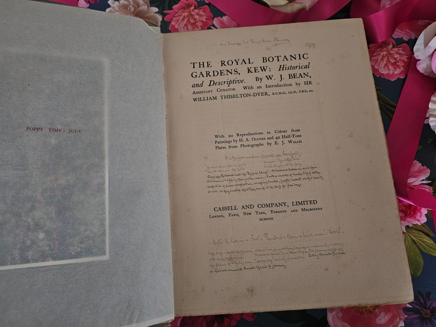 1908 The Royal Botanic Gardens, Kew by WJ Bean / Limited Edition / Cassell & Co., London / 20 Colour Plates and Many More in Black and White